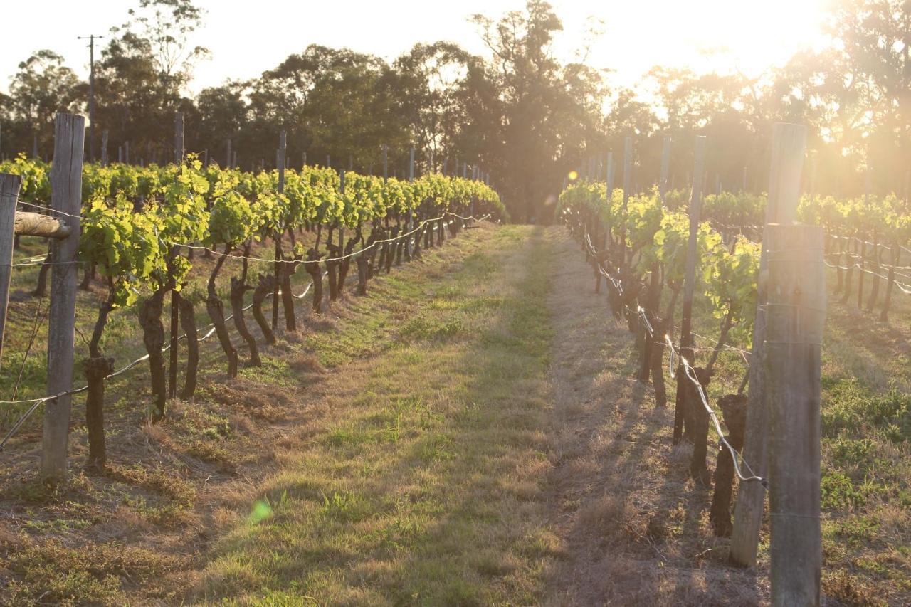 Blueberry Hill Vineyard Stay Rothbury Εξωτερικό φωτογραφία