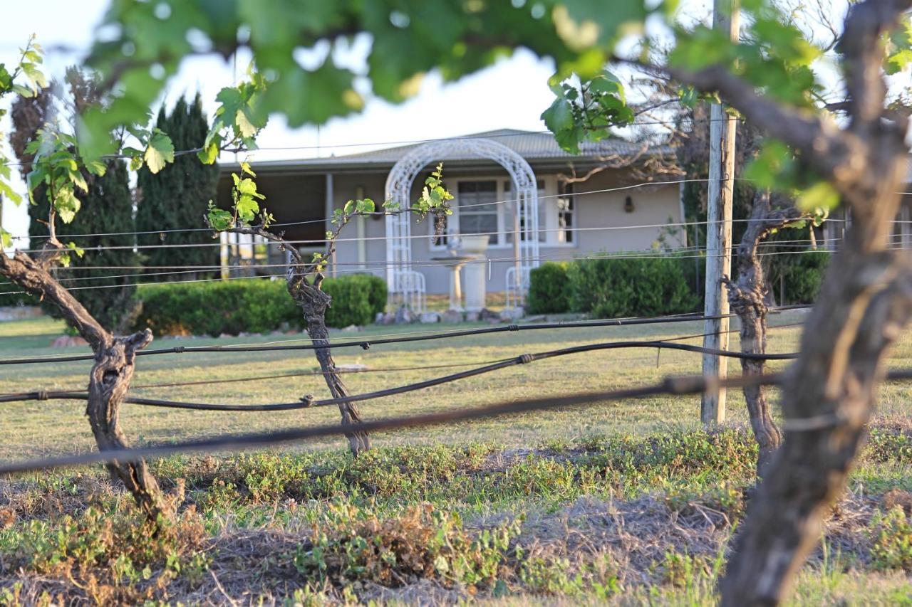 Blueberry Hill Vineyard Stay Rothbury Εξωτερικό φωτογραφία