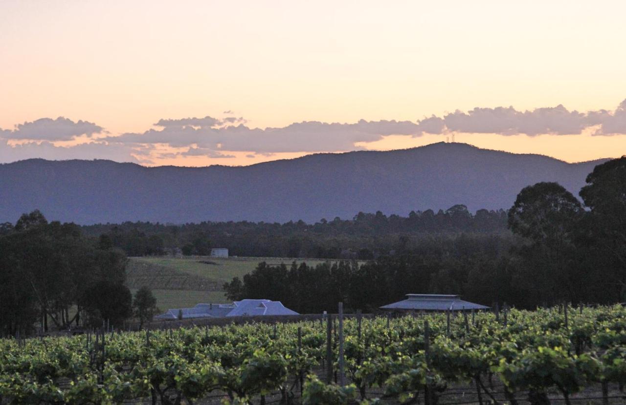 Blueberry Hill Vineyard Stay Rothbury Εξωτερικό φωτογραφία