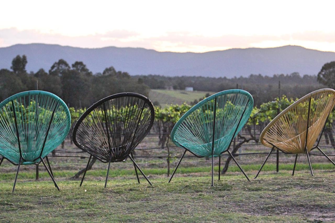 Blueberry Hill Vineyard Stay Rothbury Εξωτερικό φωτογραφία